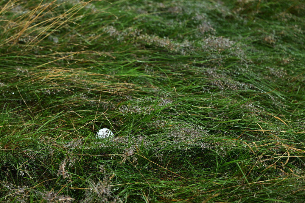 A ball lies in the thick rough